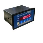 Indicateur de pesage MS100S simple MS100SSPAC